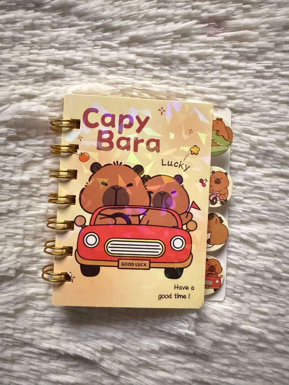 Capybara A6 spiral mini notebook with capybara in a red car design 4 dividers